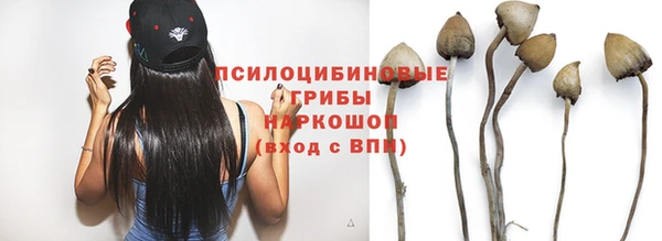 прущий лед Богородицк