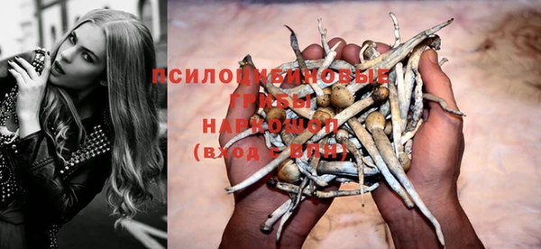 прущий лед Богородицк