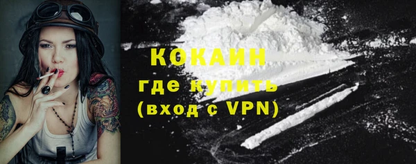apvp Богородск