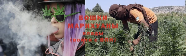 PSILOCYBIN Богданович